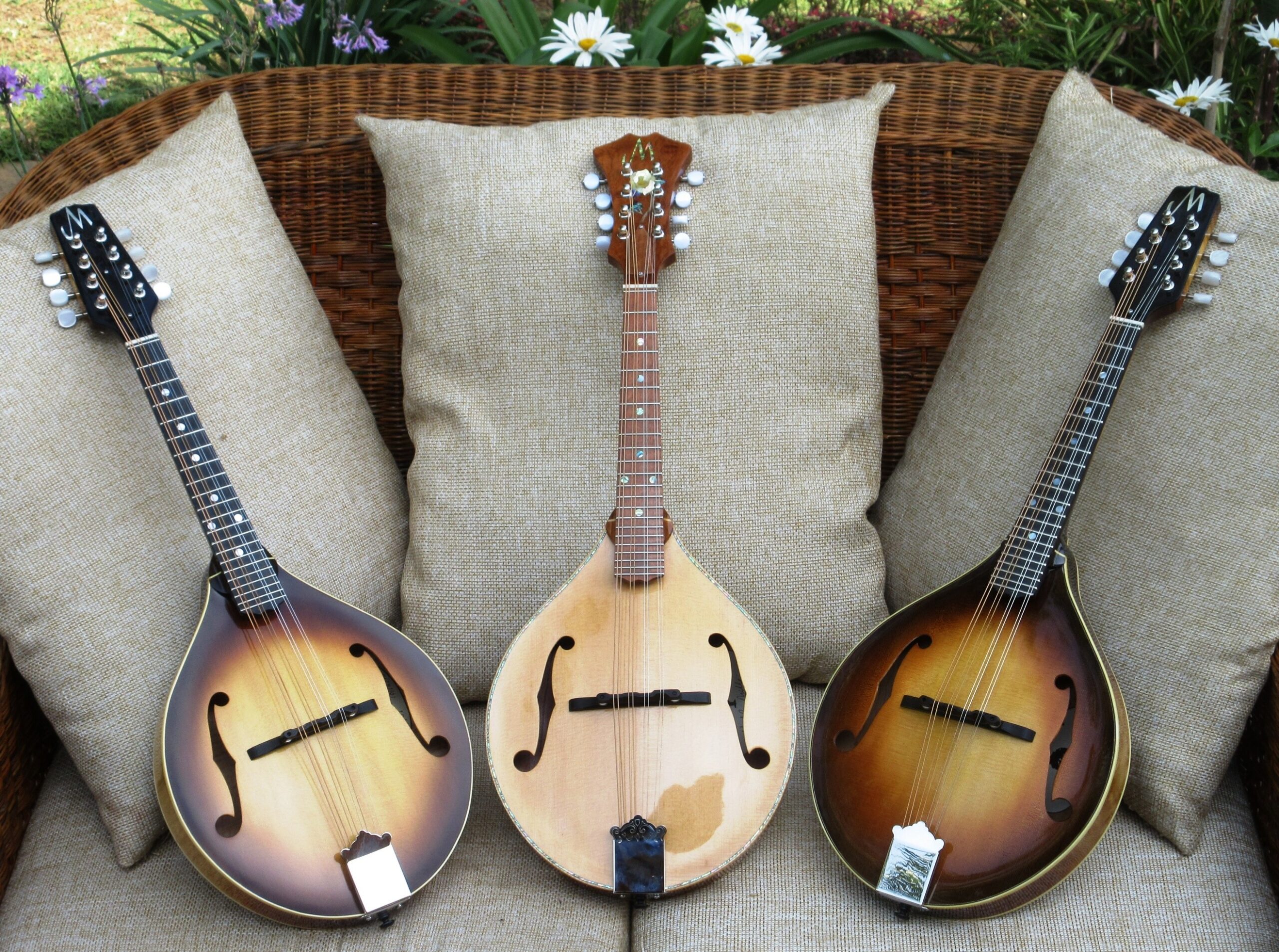 Three mandolins crafted by luthier Neil Miller