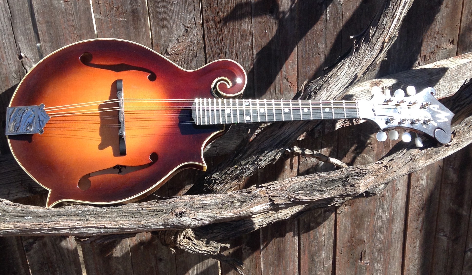 2025 Mandolin build!